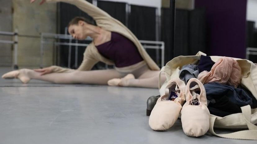 What is the Best Ballet Shoe for Dancer's Today?